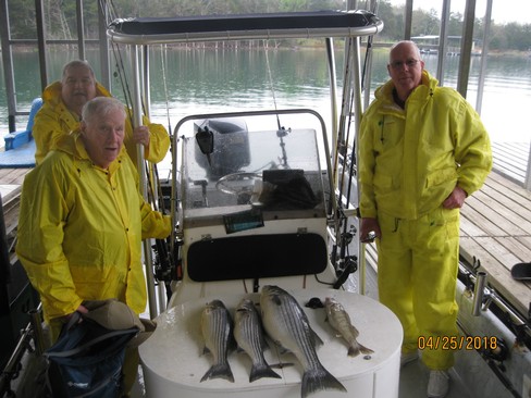 Nice Striped Bass